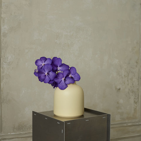 OMAR vase